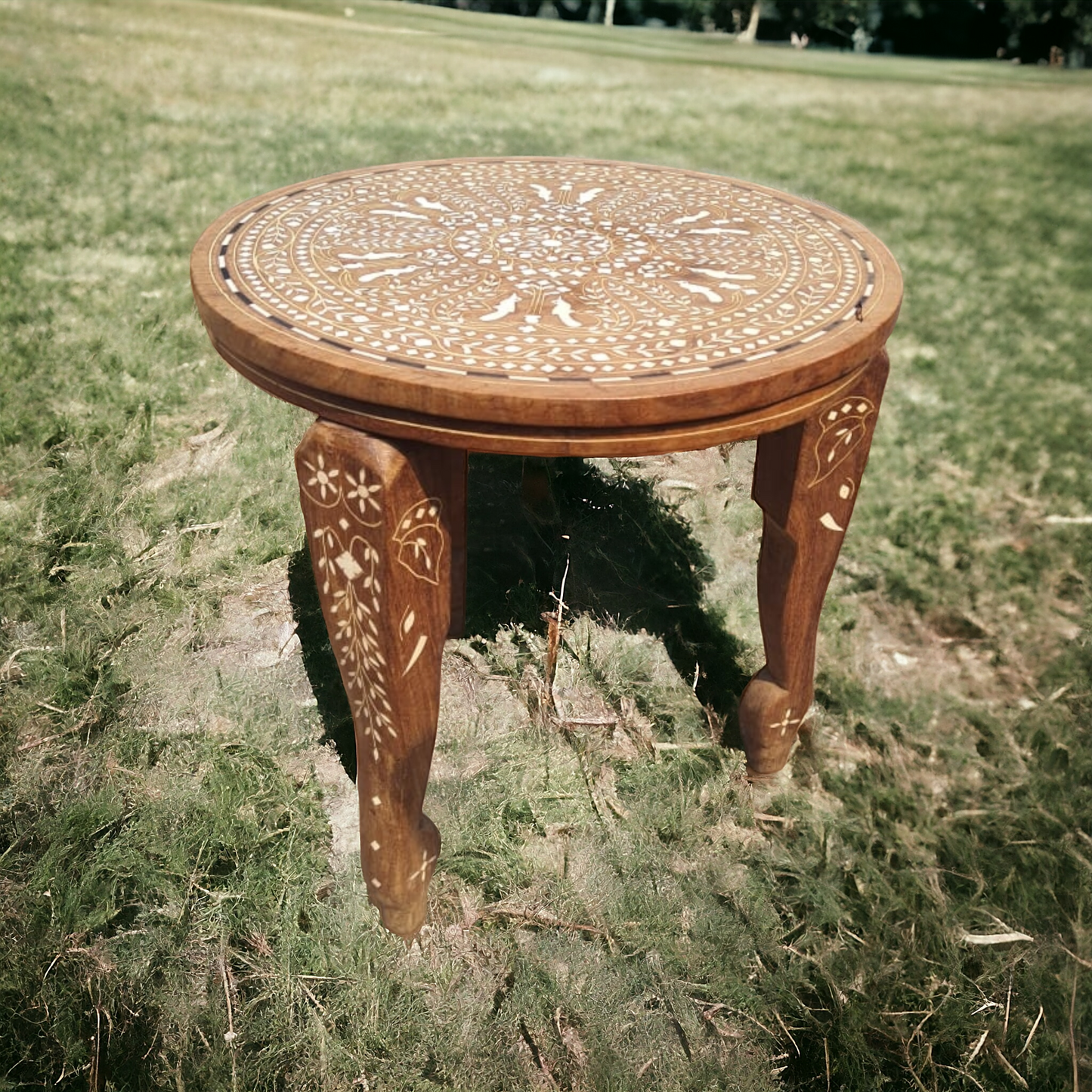 Antique Rosewood Elephant Legs Coffee Table with Inlay Design