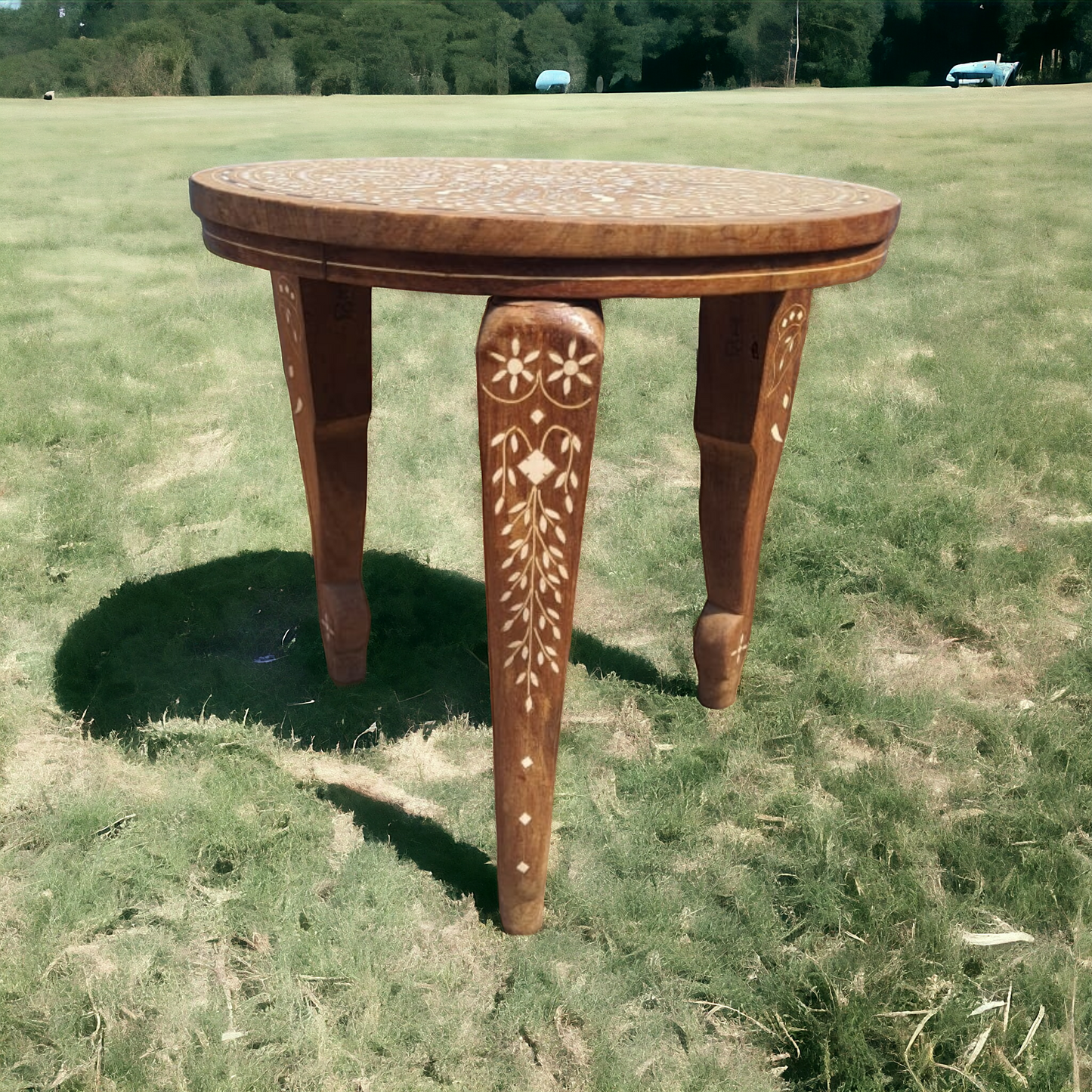 Antique Rosewood Elephant Legs Coffee Table with Inlay Design