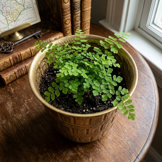 Antique Brass Embossed Arch Planter Pot | Decorative Indoor Plant Holder | Made in 1970 - Bombay Antiques