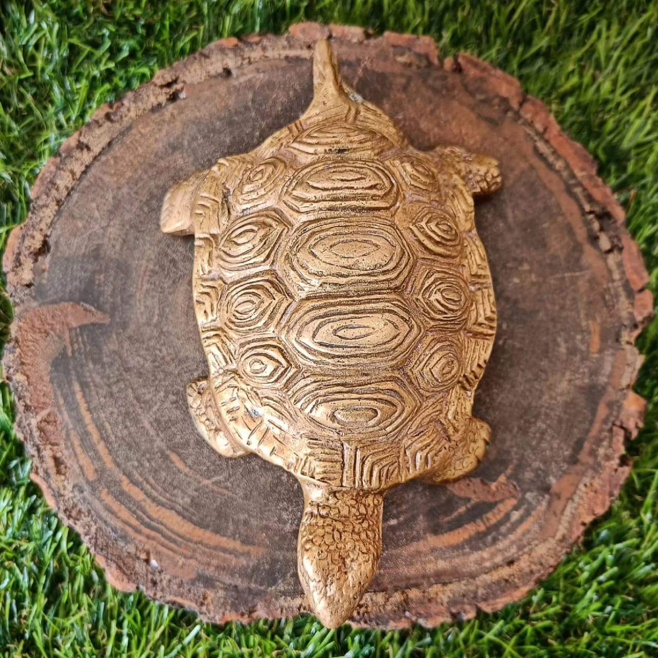 Antique Brass Turtle 🔥